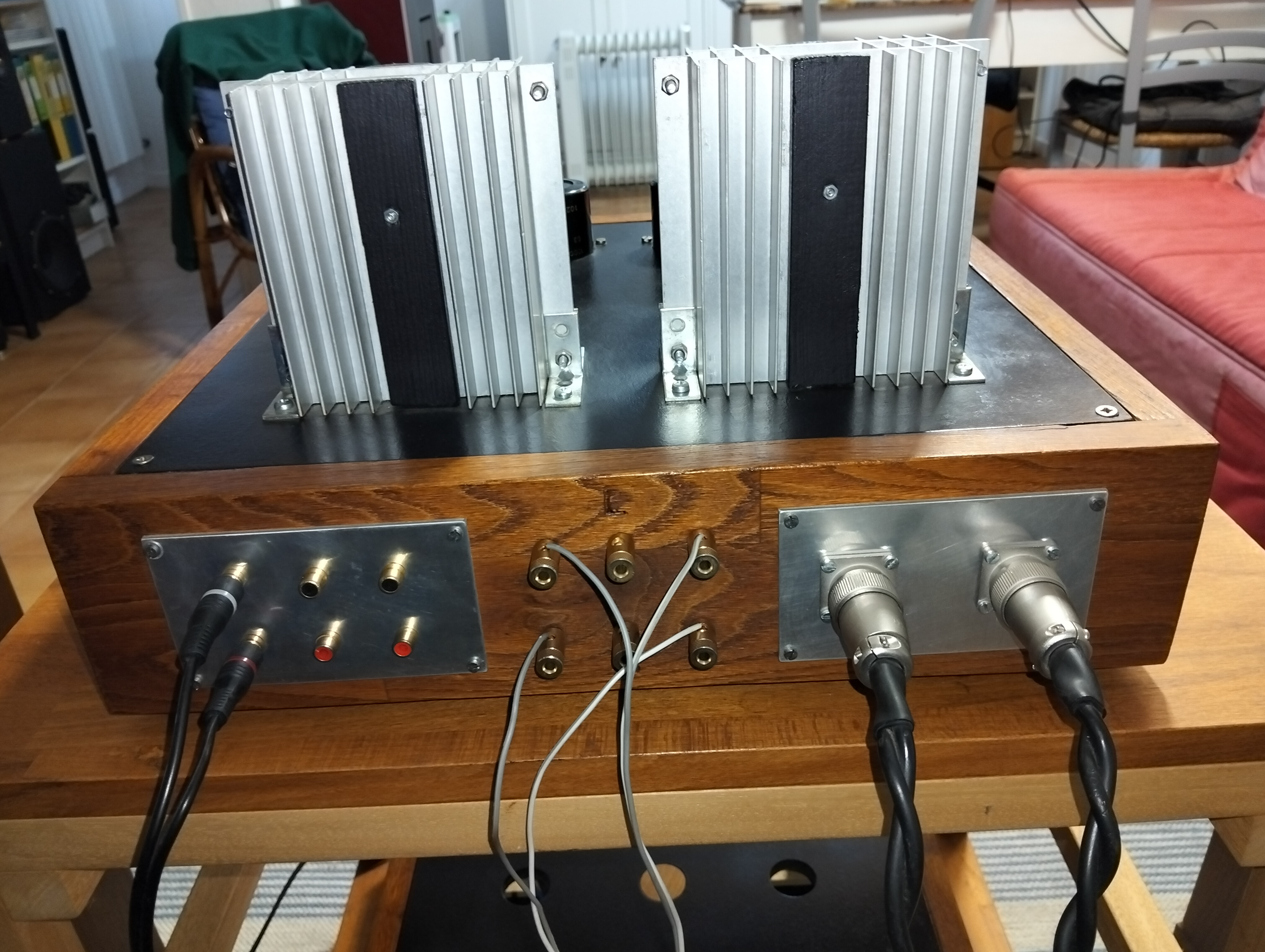 Amplificatore con TU